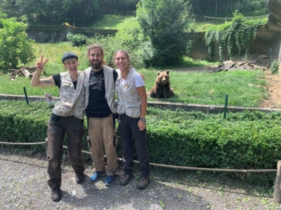 Ours et compagnie