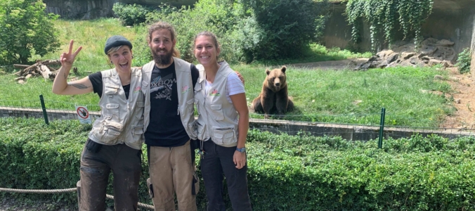Ours et compagnie